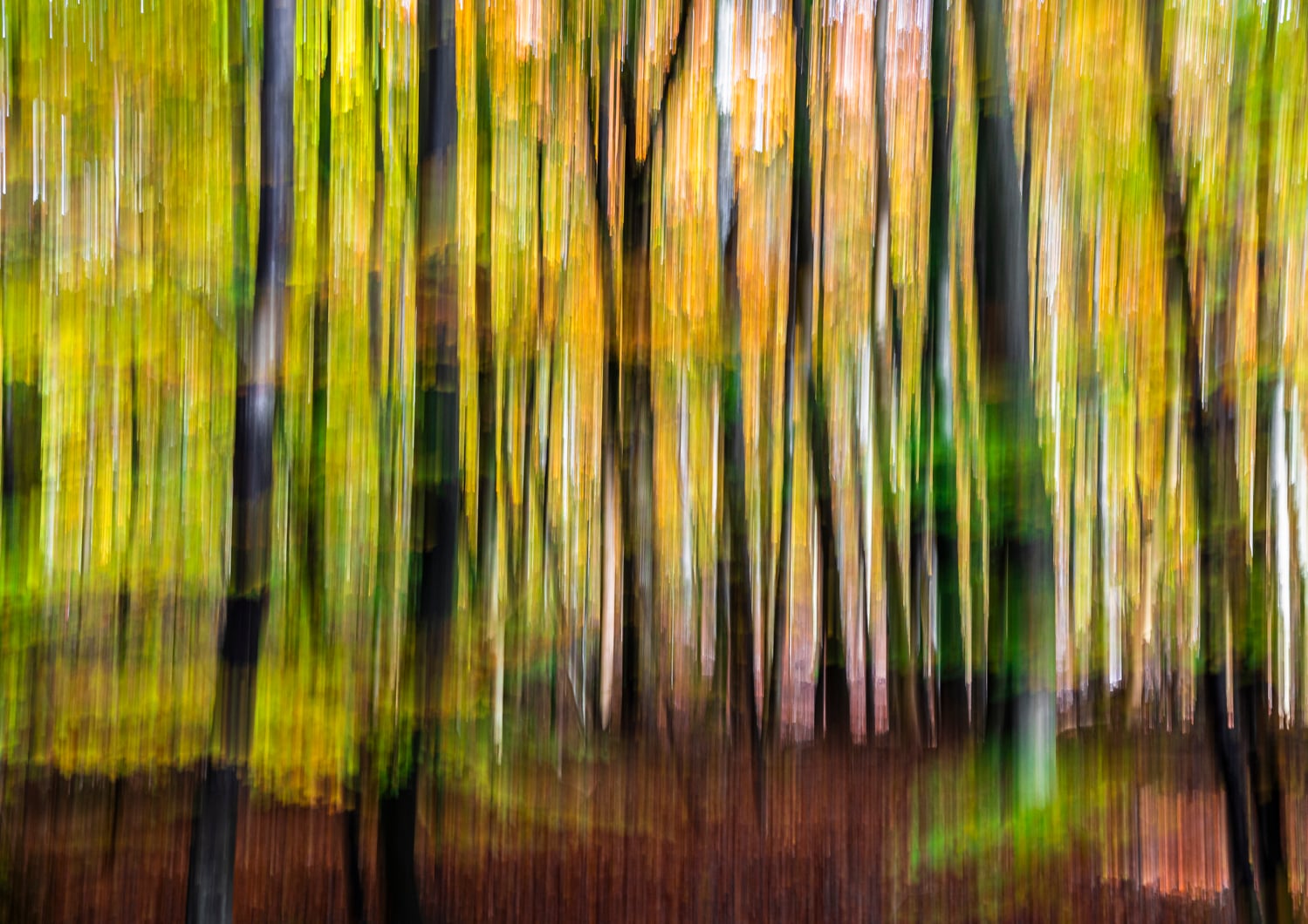 Marselisefterår III